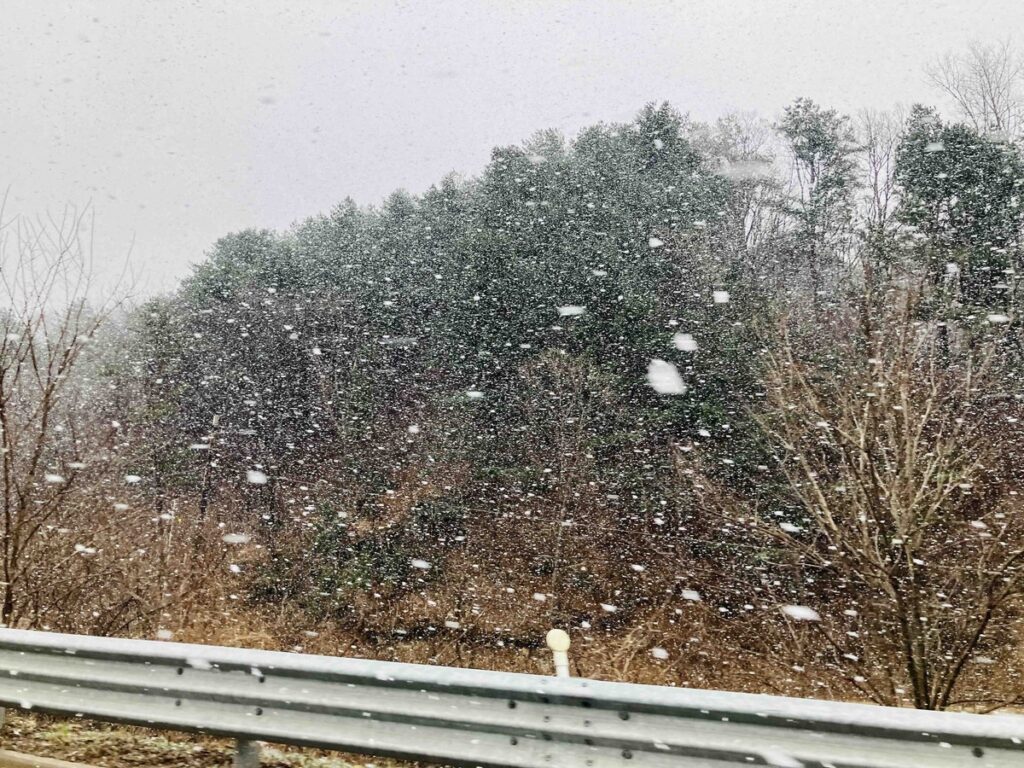 山へ向かう途中、車窓から見えた大粒の雪と森の景色