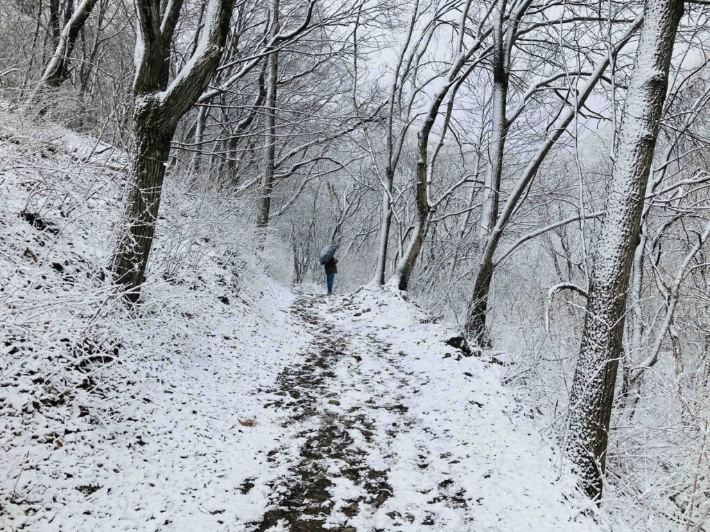 雪の山道を、傘をさして歩く人の後ろ姿