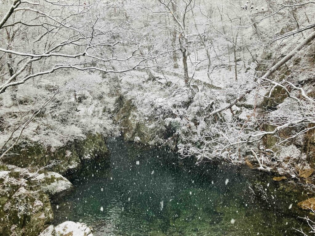 雪が降る森に現れた透明な清流の風景