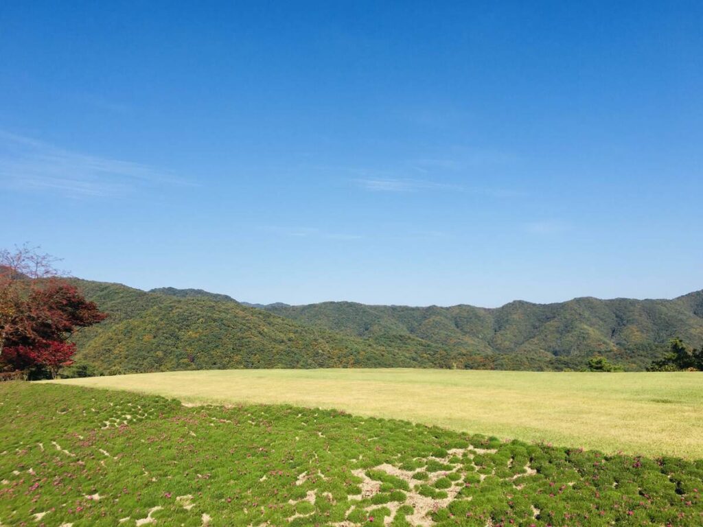 晴れた日のミュージアムSANからの景色
