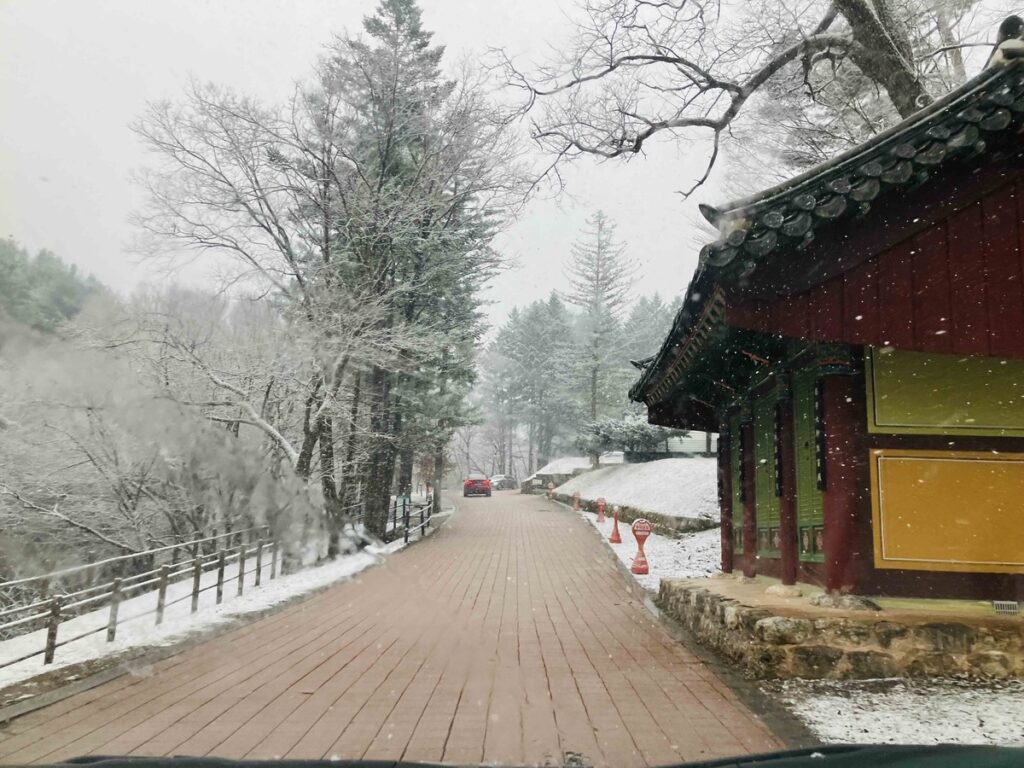 雪の日に訪れた山の寺院と静かな一本道