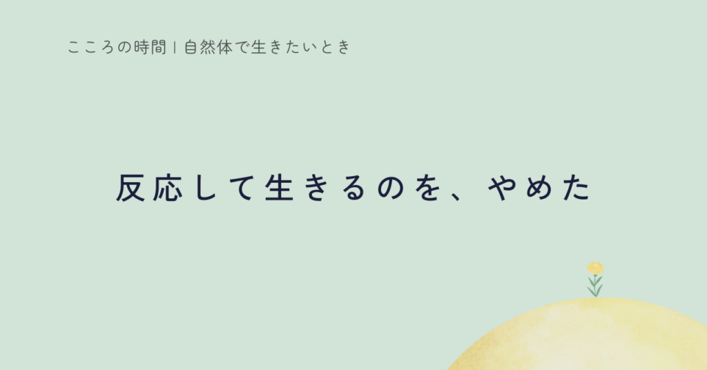反応して生きるのを、やめた一年|2025年を振り返って