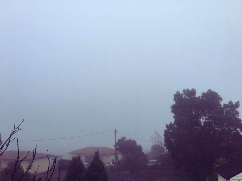 霧に包まれた静かな木々の風景｜静かな自然の中で感情を受け止める自己受容の時間をイメージした霧の景色