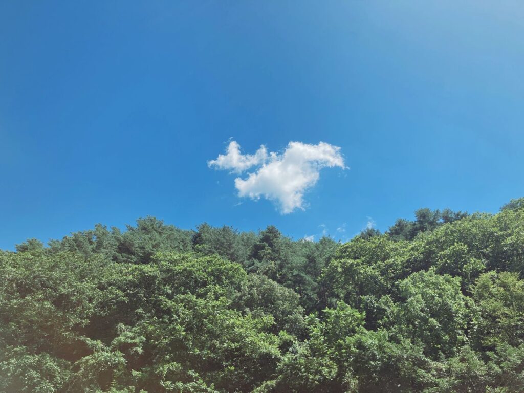 青空にぽつんと浮かぶ一つの雲｜思考が澄み、アイデアが浮かぶ瞬間をイメージした空の風景