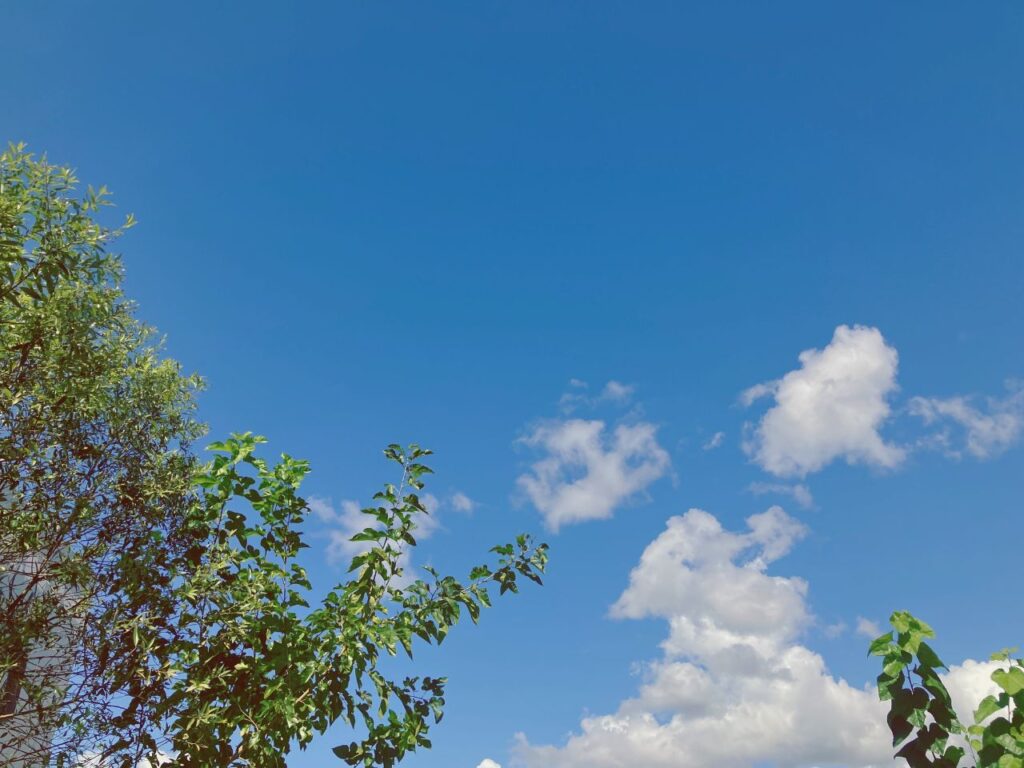 木々の向こうに広がる青空と流れる雲｜思考を手放して深呼吸する瞬間をイメージした空の風景