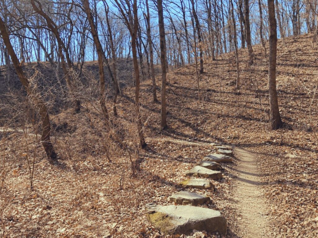 落ち葉に覆われた静かな山道の風景｜低迷しているように見える時期にも、穏やかに自分を受容する時間をイメージした自然の景色