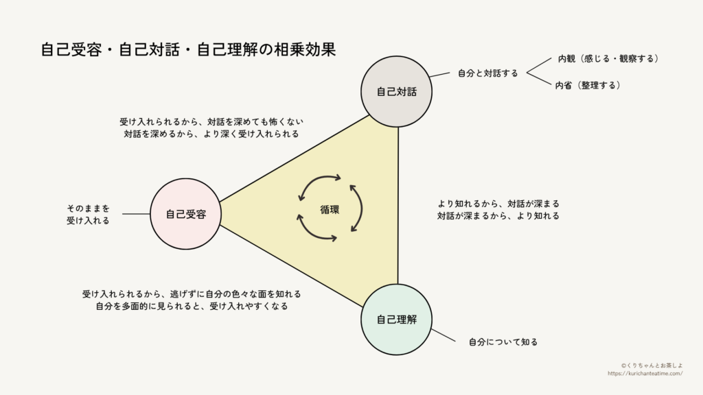 自己受容・自己対話・自己理解の3つが互いに影響し合いながら循環し、自己理解が深まっていく関係を表した図