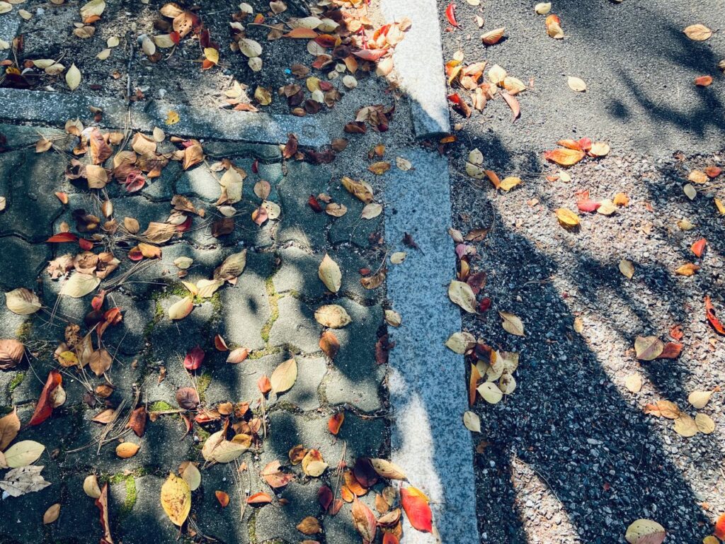 木漏れ日が差し込む歩道と散り落ちた色とりどりの落ち葉｜足元の景色に目を向けながら、ゆっくり呼吸し、今この瞬間に意識を戻す時間をイメージした秋の道の風景